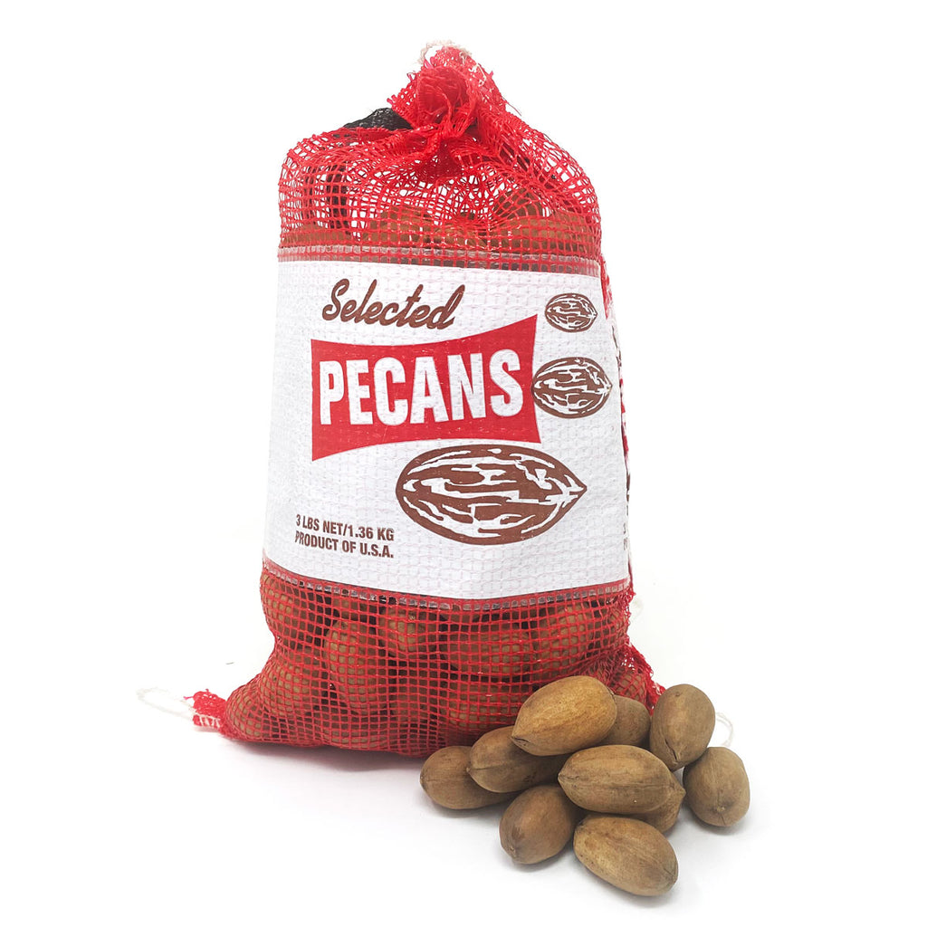 Paper Shell Pecans | Hudson Pecan – Hudson Pecan Company